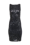 Bateau Neck Sheath Mesh Hidden Back Zipper Sequined Sleeveless Sheath Dress