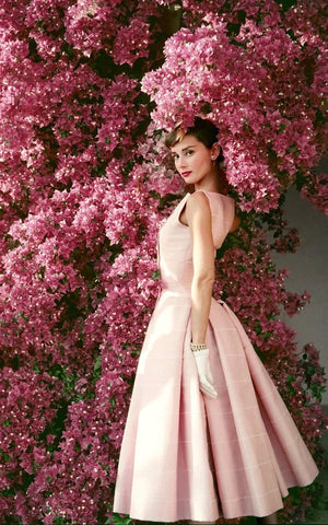 Audrey Hepburn Fashion Icon