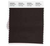 Hot Fudge Fall Pantone 2023 Colors