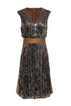 A-line V-neck Mesh Hidden Back Zipper Sequined Sleeveless Midi Dress