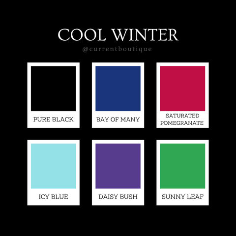 cool winter color palette