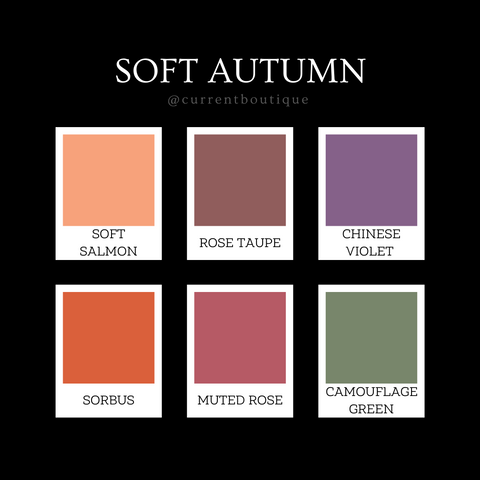 Seasonal Color Analysis Guide to Determine Your Color Season or