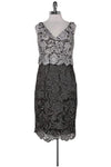 Lace Hidden Back Zipper V Back Above the Knee Sleeveless Party Dress