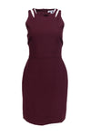 Sleeveless Sheath Back Zipper Cutout Round Neck Fall Sheath Dress