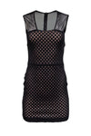 Semi Sheer Fitted Mesh Back Zipper Sheer Illusion Bodycon Dress