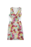 V-neck Floral Print Hidden Back Zipper Sleeveless Dress