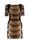 Hidden Back Zipper Sheath Animal Tiger Print Scoop Neck Short Sleeves Sleeves Sheath Dress