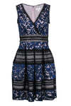 Striped Floral Print Fit-and-Flare Nylon Plunging Neck Lace Trim Pleated Fitted Party Dress