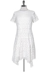 Semi Sheer Hidden Back Zipper Dropped Waistline Short Sleeves Sleeves Dress