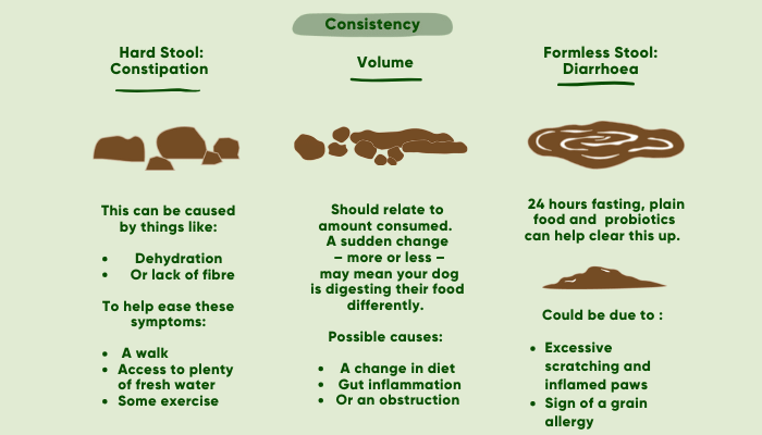 Dog Poo Consistency Health Chart