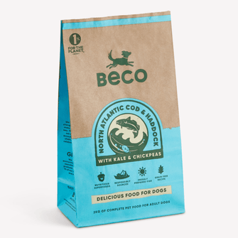 Can Dogs Eat Kale? – Beco