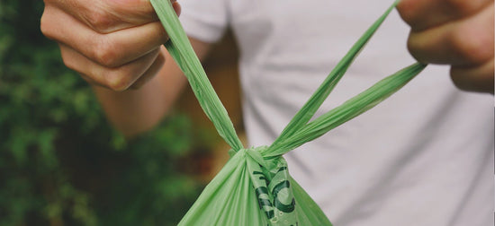 eco-friendly dog poo bag