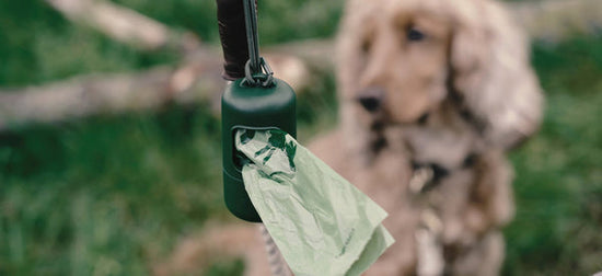 poop bag and a puppy