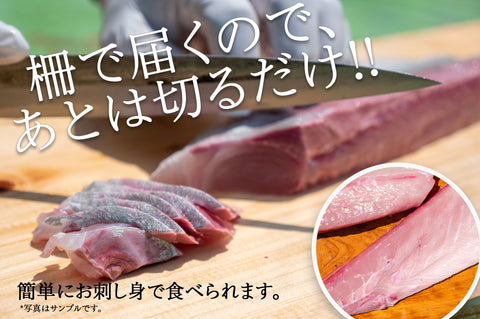 カンパチが柵の形で直送で届きます