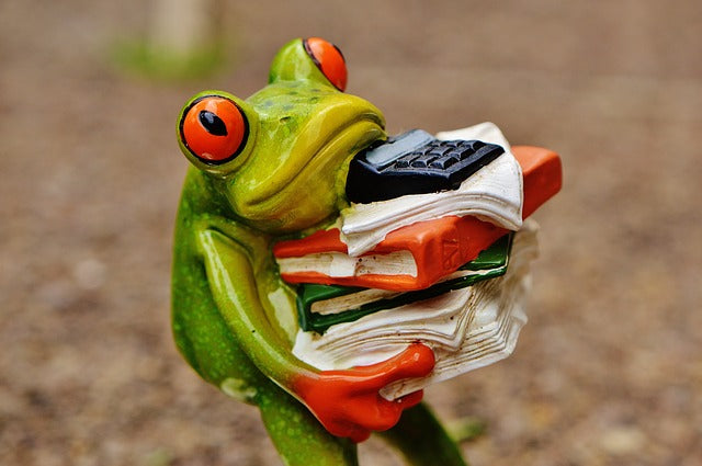 statue of frog carrying a big stack of books, papers, and a calculator