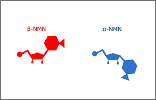 α-NMN vs β-NMN