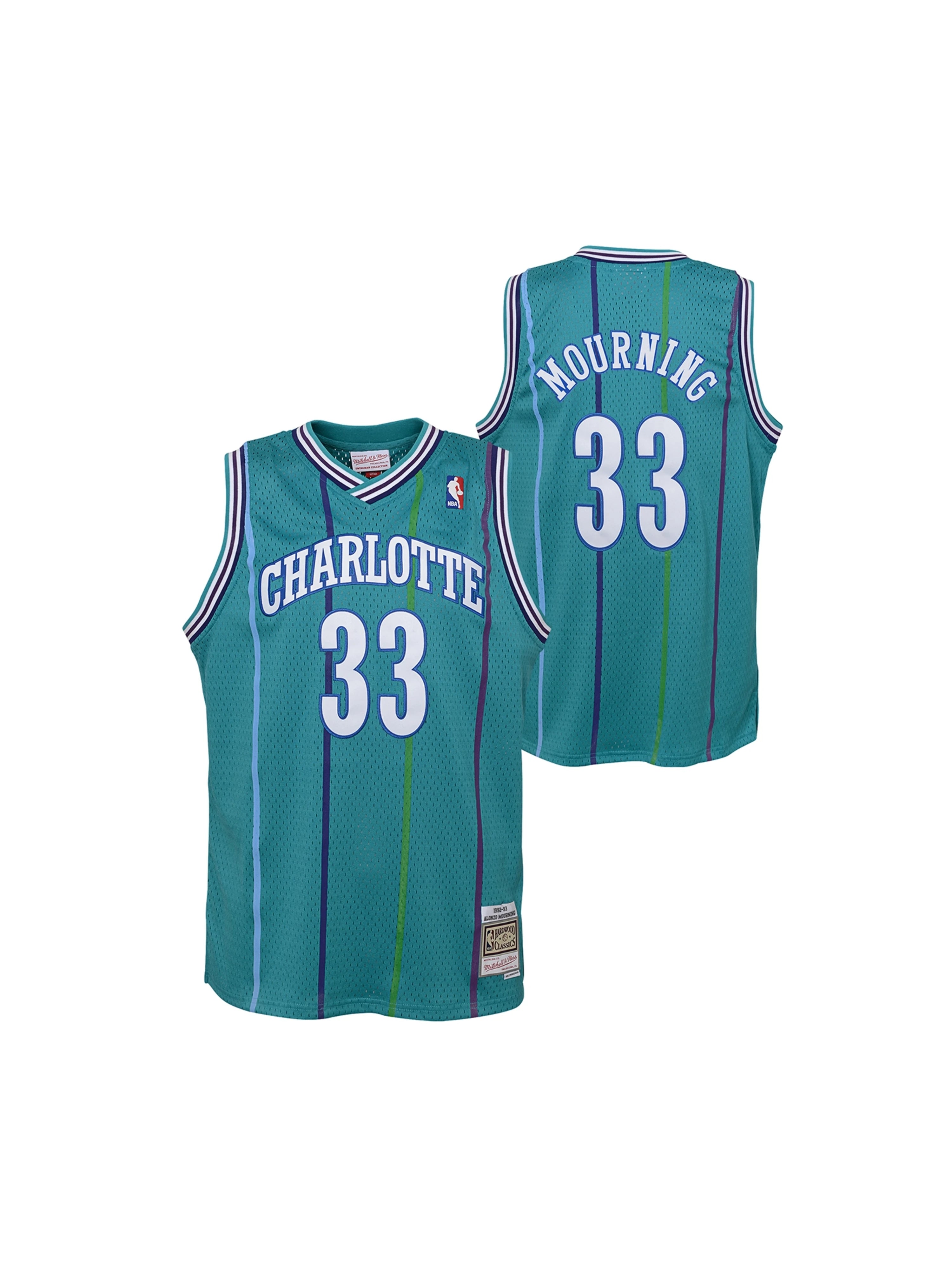 Alonzo Mourning Charlotte Hornets Mitchell & Ness Youth 1992-93 Hardwood Classics Swingman Jersey - Teal