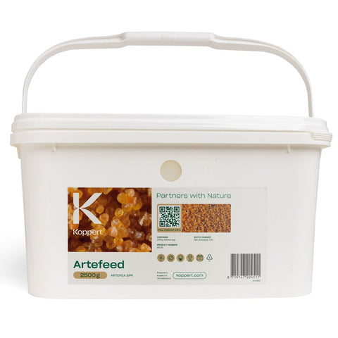 Artefeed product