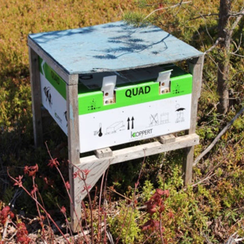 Quad with a protective covering