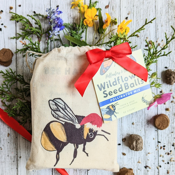 Pollinators and Blooms Wildflower Seed Balls