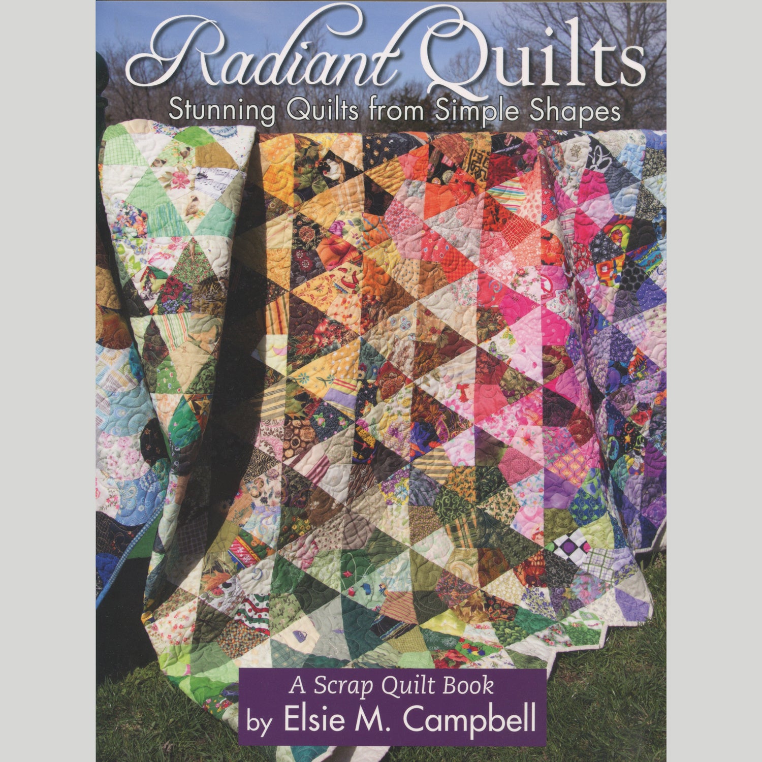 Perfectly Pieced Quilt Backs: The Scrap-Smart Guide to Finishing Quilts with Two-Sided Appeal [Book]