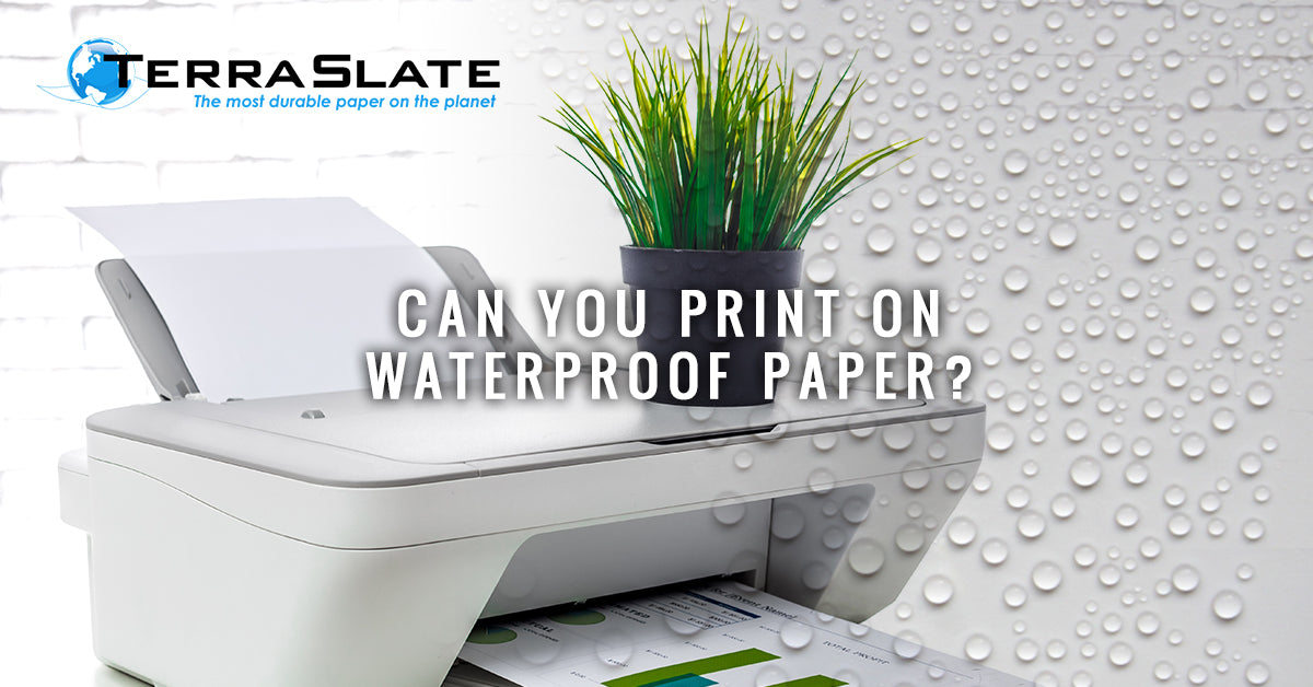 Waterproof Paper: Can You Print On It?- TerraSlate ...