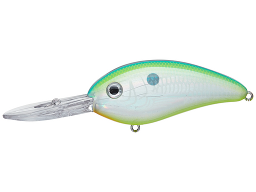 Bomber Lures Fat Free Shad Jr Crankbait Bass Fishing Lure, Freshwater  Fishing Accessories, 2 1/2, 1/2 oz, 8-12ft Depth, Threadfin Shad,  (BD6FDTFS), Topwater Lures -  Canada