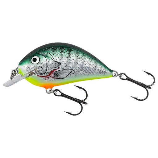 Bagley Small Fry 1 SF1 (Discontinued Line)  Fishing lures for sale, Small  fry, Antique fishing lures