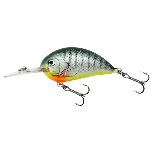 Bagley Small Fry Balsa Bream 1/4oz: Bream on White - Vimage Outdoors