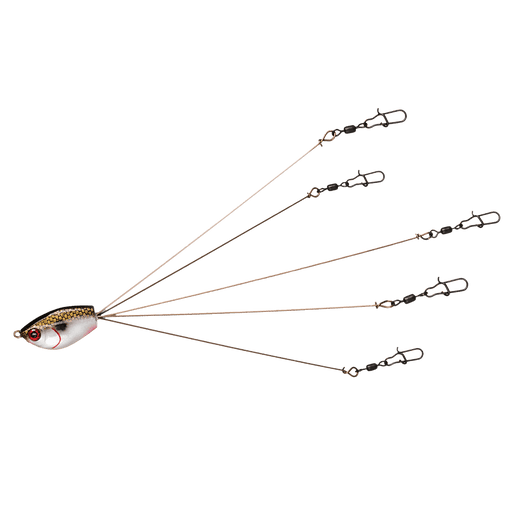 WOTEG 5 Arms Alabama Rig Fishing Lure - TopWater Fishing Lures - Umbrella  Rig with Spinner, Alabama Umbrella Rigs for Bass Stripers Fishing,  Freshwater Fishing Swimbait Lures Rig Kit : : Sports