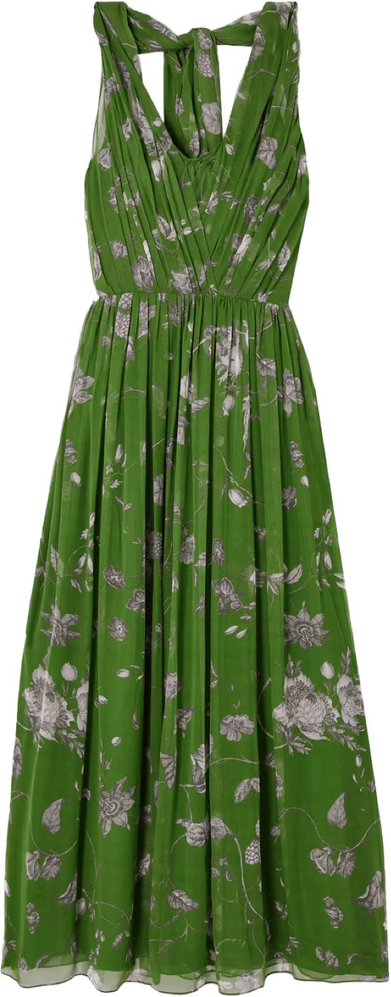 Erdem Floral Print Silk-Voile Gown