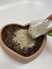 Ceramic heart pot with soil and top dressing