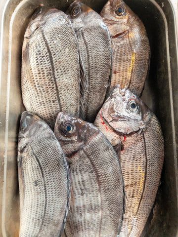 HABILE propose une dorade grise de ligne, choux "kalette" et huile d'olive Ardente au chorizo à déguster au 16 rue de Lancry Paris 10