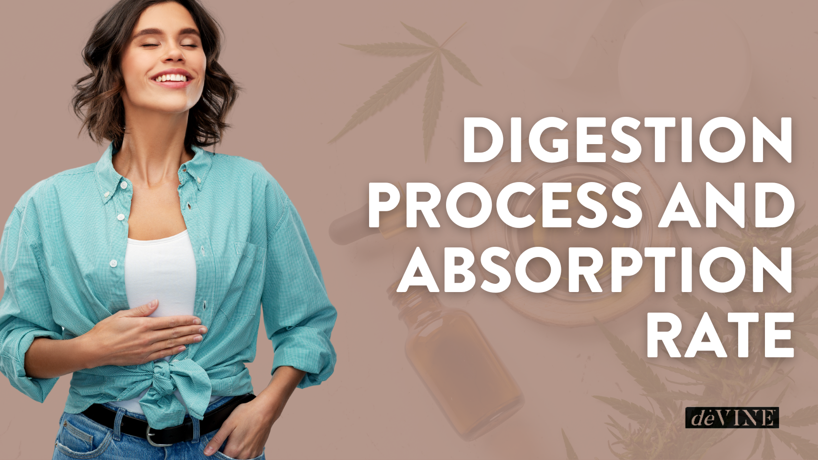 Digestion process and absorption rate