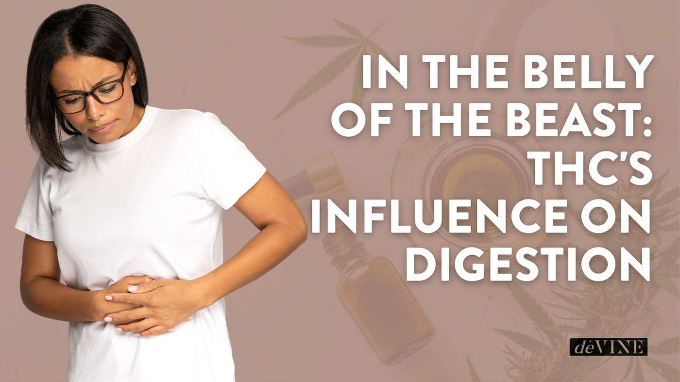 In the Belly of the Beast: THC's Influence on Digestion