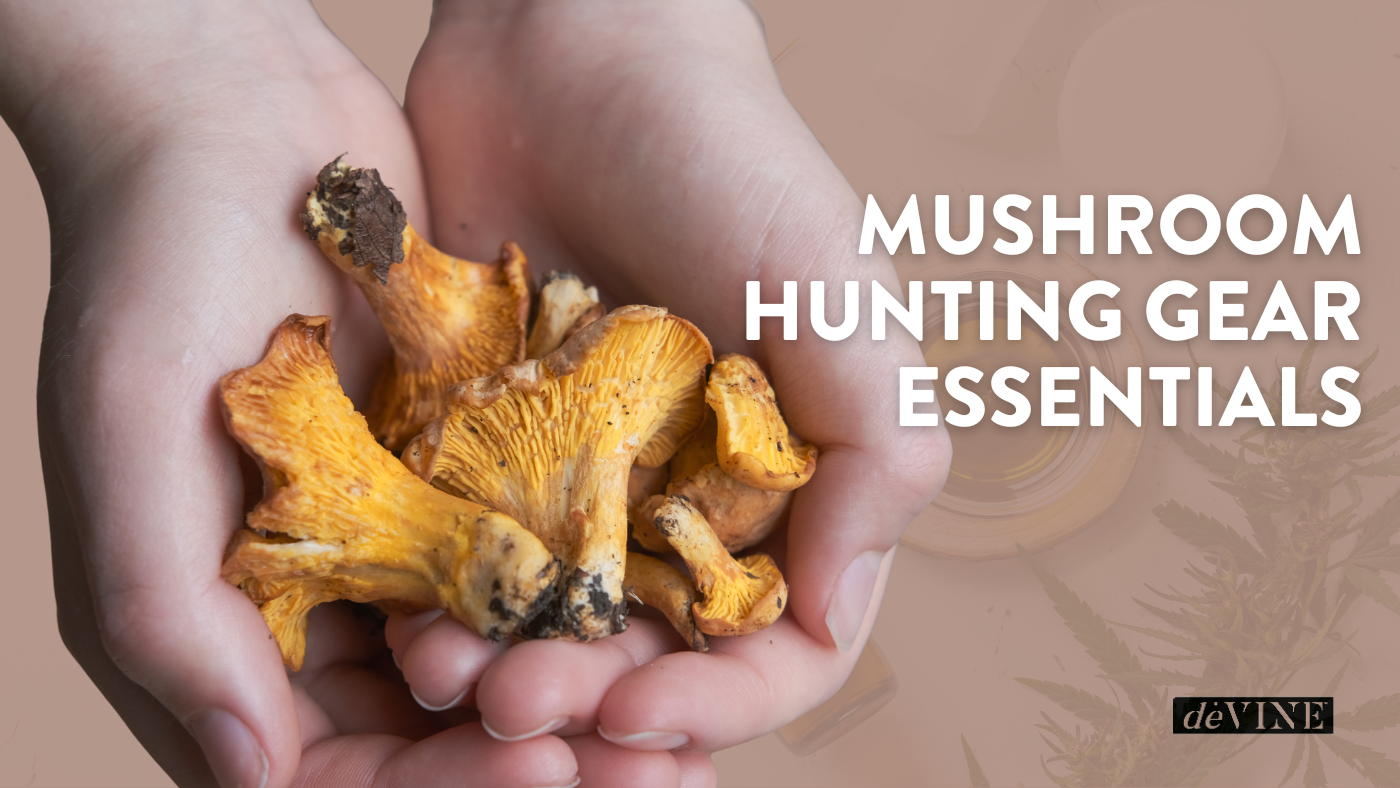 Mushroom Hunting Gear Essentials