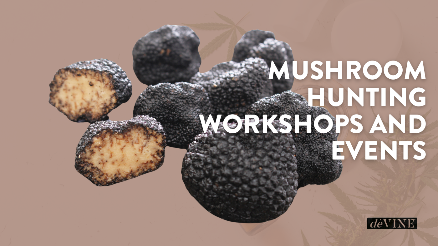 Mushroom Hunting Workshops and Events