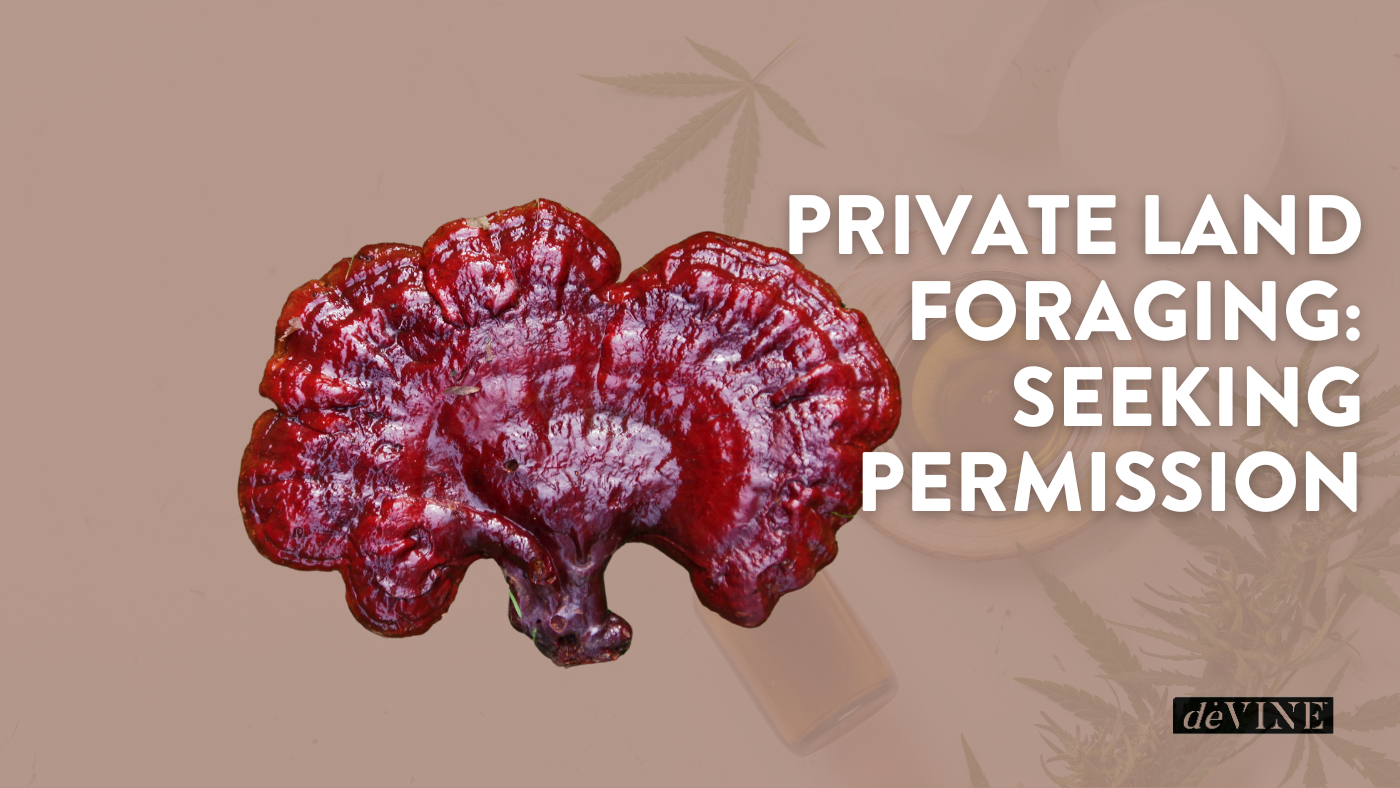 Private Land Foraging: Seeking Permission