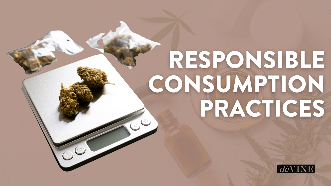 Responsible Consumption Practices