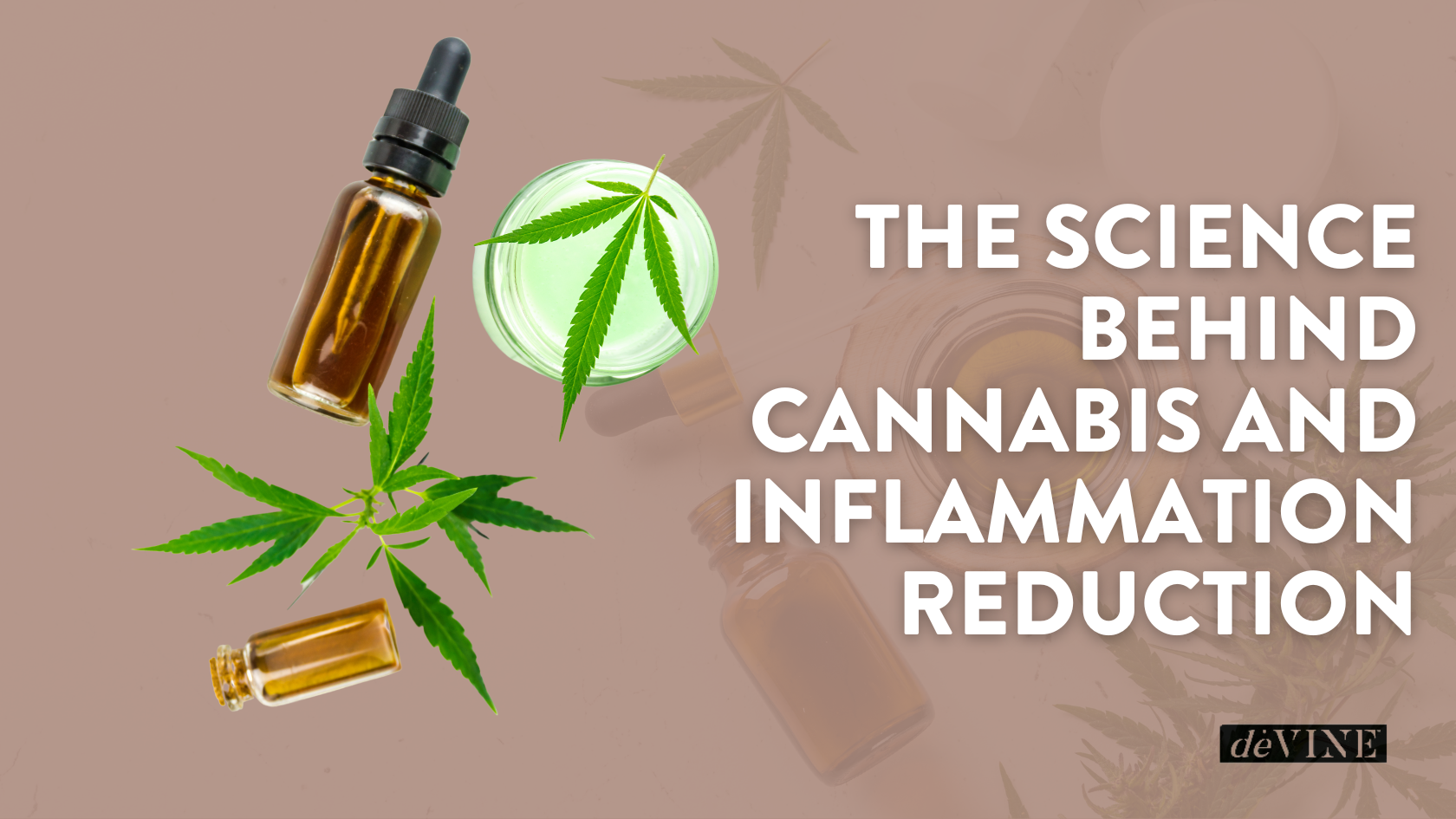 The Science Behind Cannabis and Inflammation Reduction
