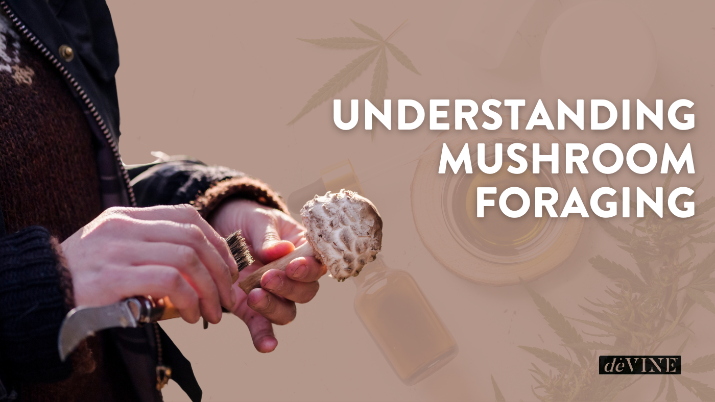 Understanding Mushroom Foraging