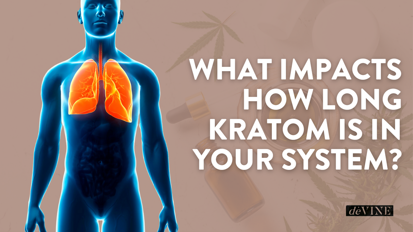 What Impacts How Long Kratom Is In Your System?