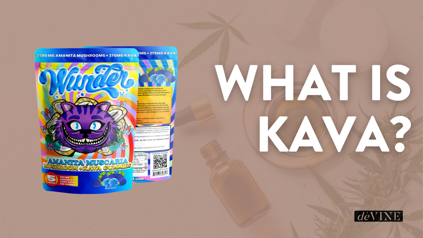 What is Kava?