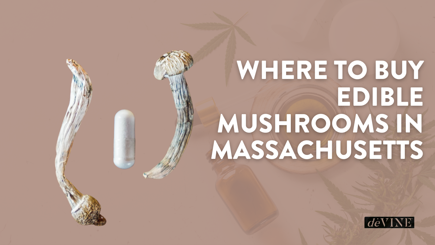 Where To Buy Edible Mushrooms in Massachusetts