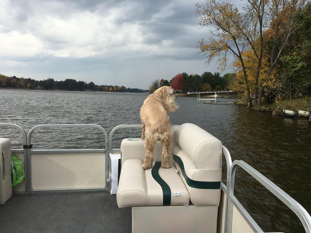 new pontoon boat seats