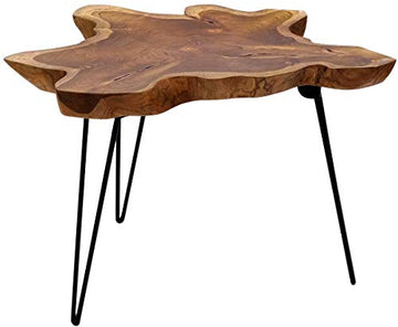 Table basse design Brillibrum en teck massif Table pliante sur un châssis en métal Table de salon en bois de teck unique