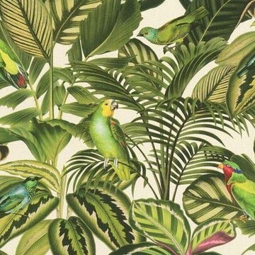 Tropical Jungle papier peint perroquets Oiseaux Feuilles Vert Multicolore Muriva Papier peint