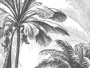 SILK ROAD EU Papier Peint Panoramique jungle Soie, 355 x 250 cm, noir et blanc Sketch Tropical Rainforest Coconut Tree Poster Geant Mural Personnalisé 3D pour Salon Chambre Décoration Murale