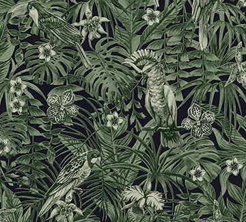 A.S. Création 372101 37210 Greenery Papier peint intissé Motif palmiers Vert/noir 10,05 m x 0,53 m, 372101