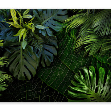 murando Papier peint intissé feuilles tropicales Monstera 350x256 cm Décoration Murale XXL Poster Tableaux Muraux Tapisserie Photo Trompe l'oeil Ornament Nature vert b-C-0224-a-a